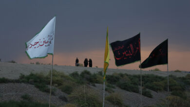 ارباب هوای زائران را دارد