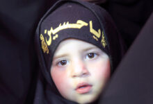 عکس با کیفیت گلچین