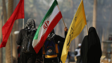 زائران ایرانی پیاده‌روی اربعین