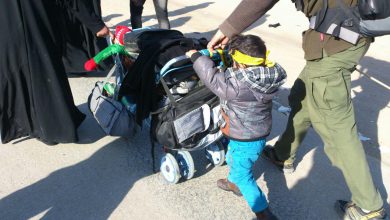 در مسیر پیاده‌روی